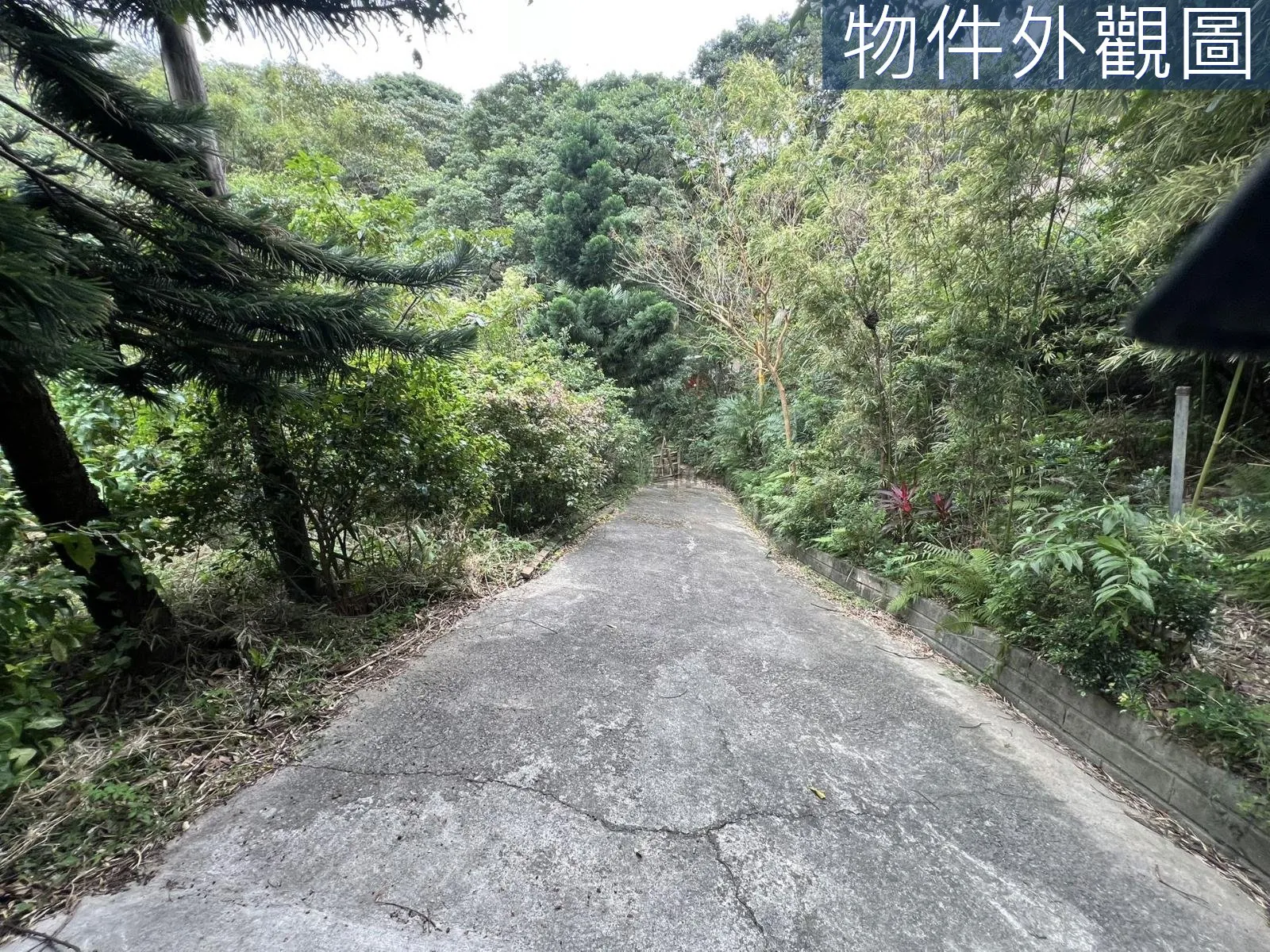 鶯歌區便宜千坪農地