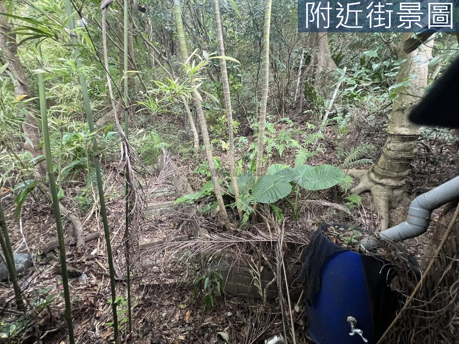 鶯歌區便宜千坪農地 第 4 張