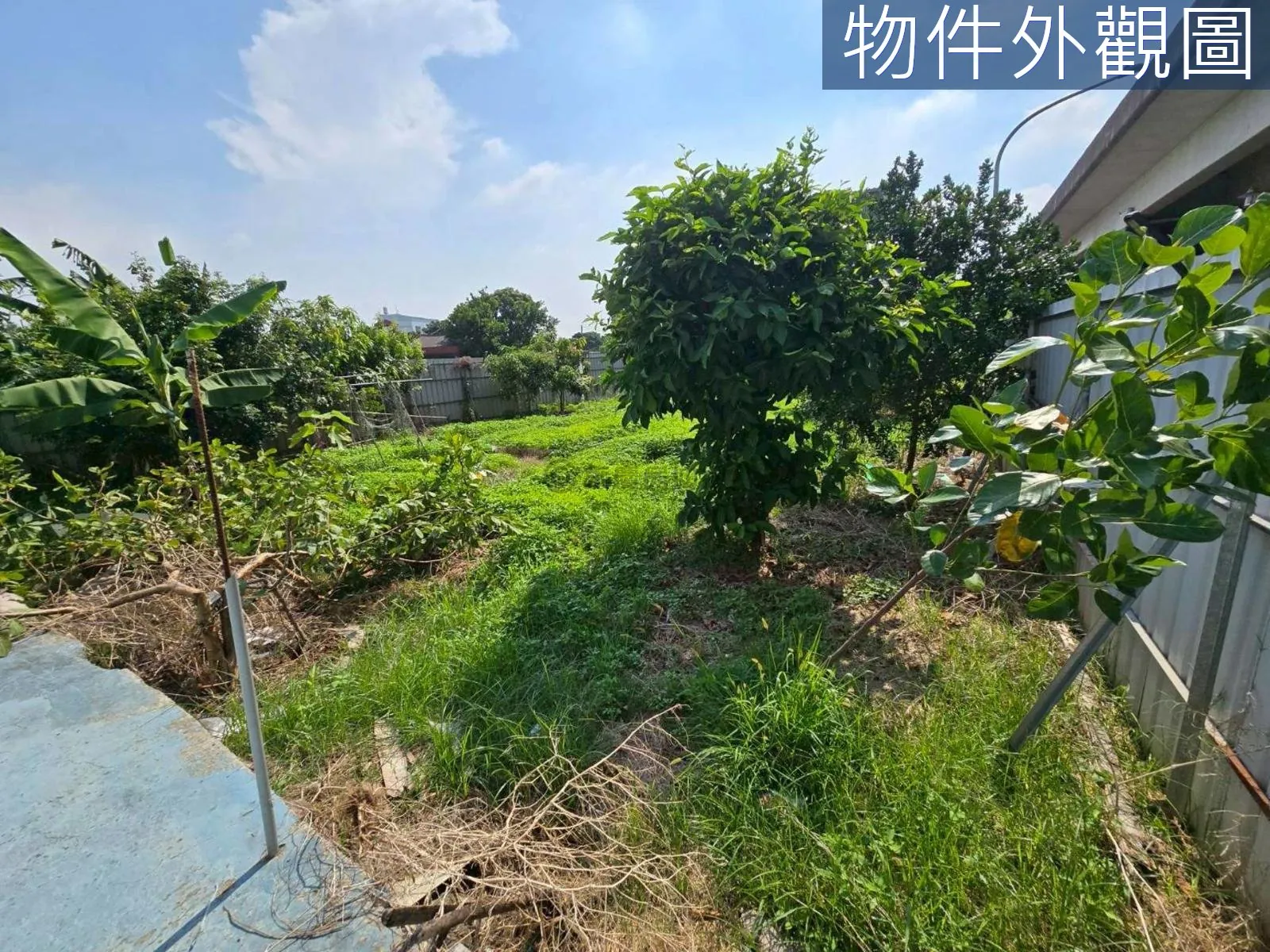 桃園區國際段 都市計畫內臨路大面寬農地 第 7 張
