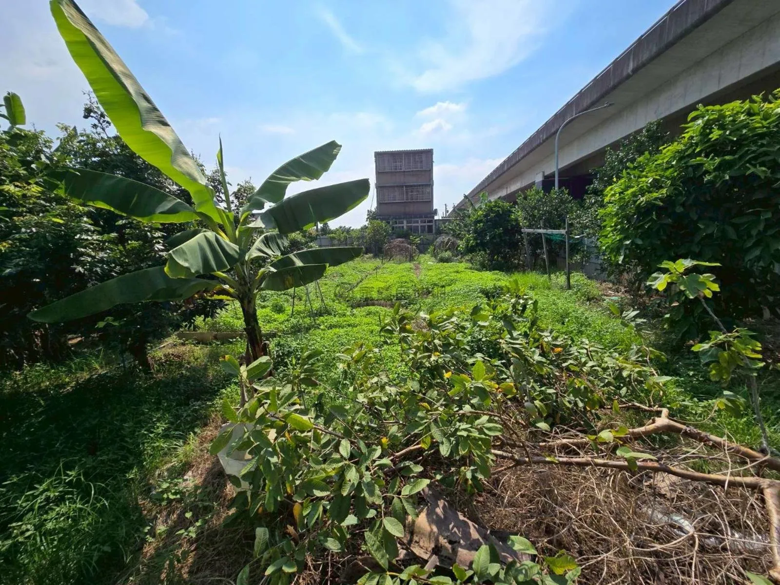 桃園區國際段 都市計畫內臨路大面寬農地 第 10 張