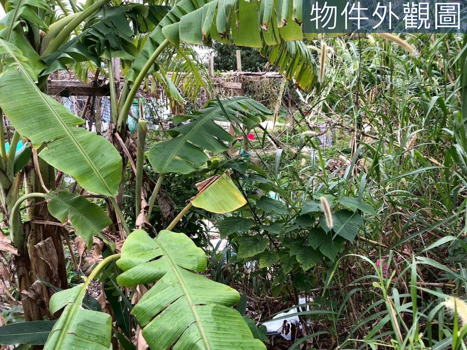 近未來捷運站都計內持分農牧用地
