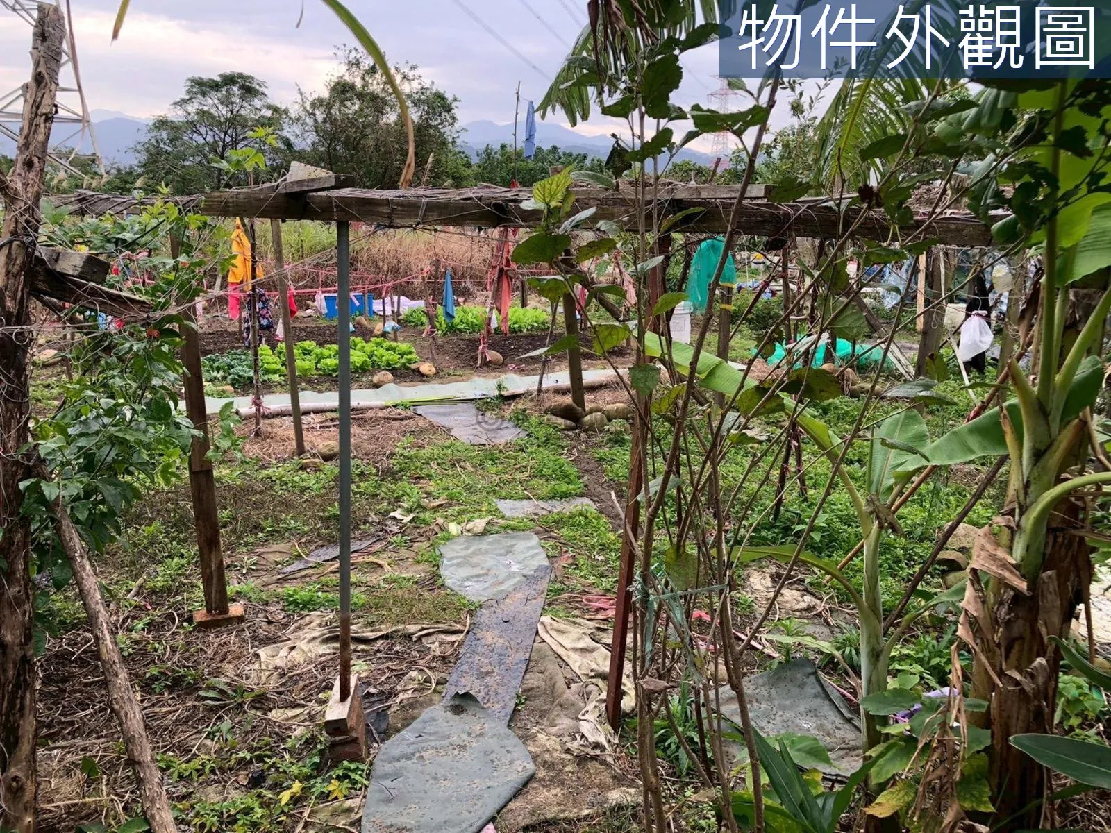 近未來捷運站都計內持分農牧用地 第 2 張