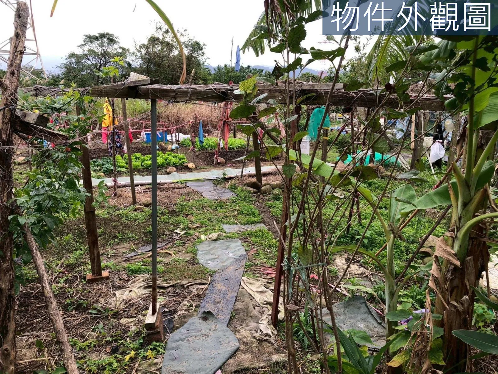 近未來捷運站都計內持分農牧用地 第 3 張