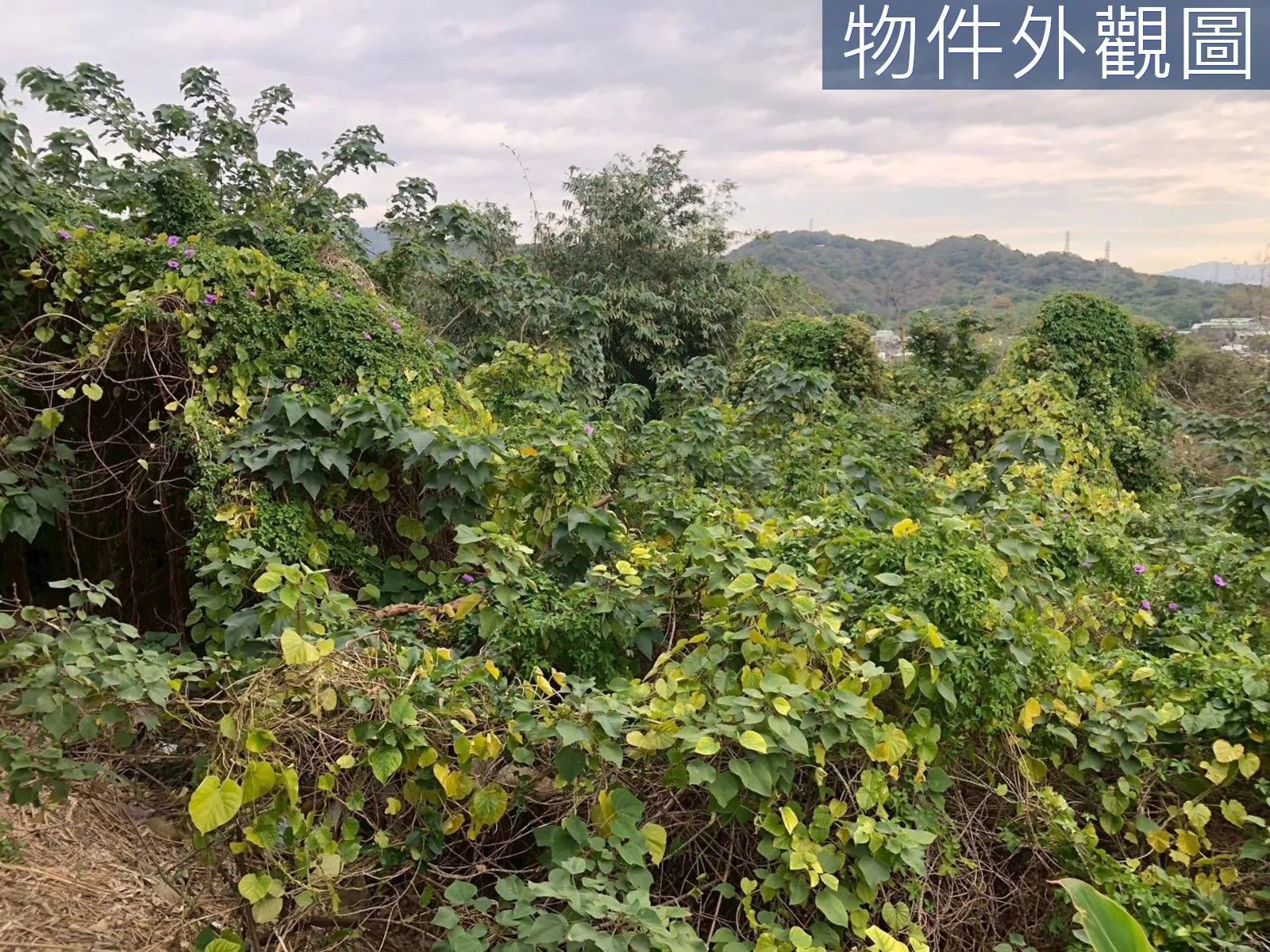 近未來捷運站都計內持分農牧用地 第 4 張