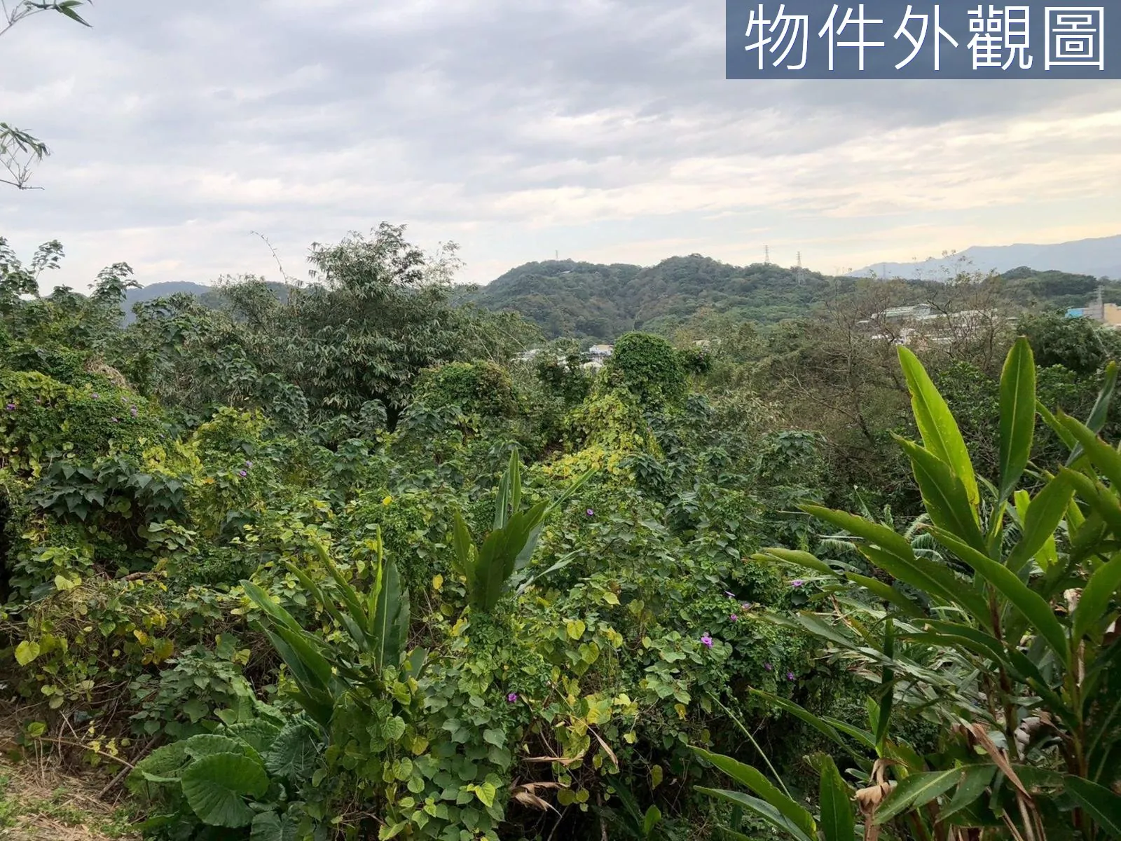 近未來捷運站都計內持分農牧用地 第 5 張