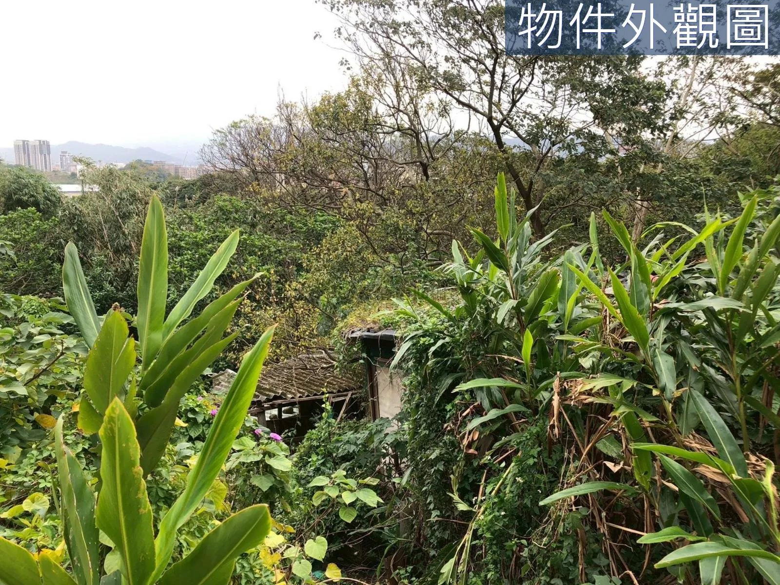 近未來捷運站都計內持分農牧用地 第 6 張