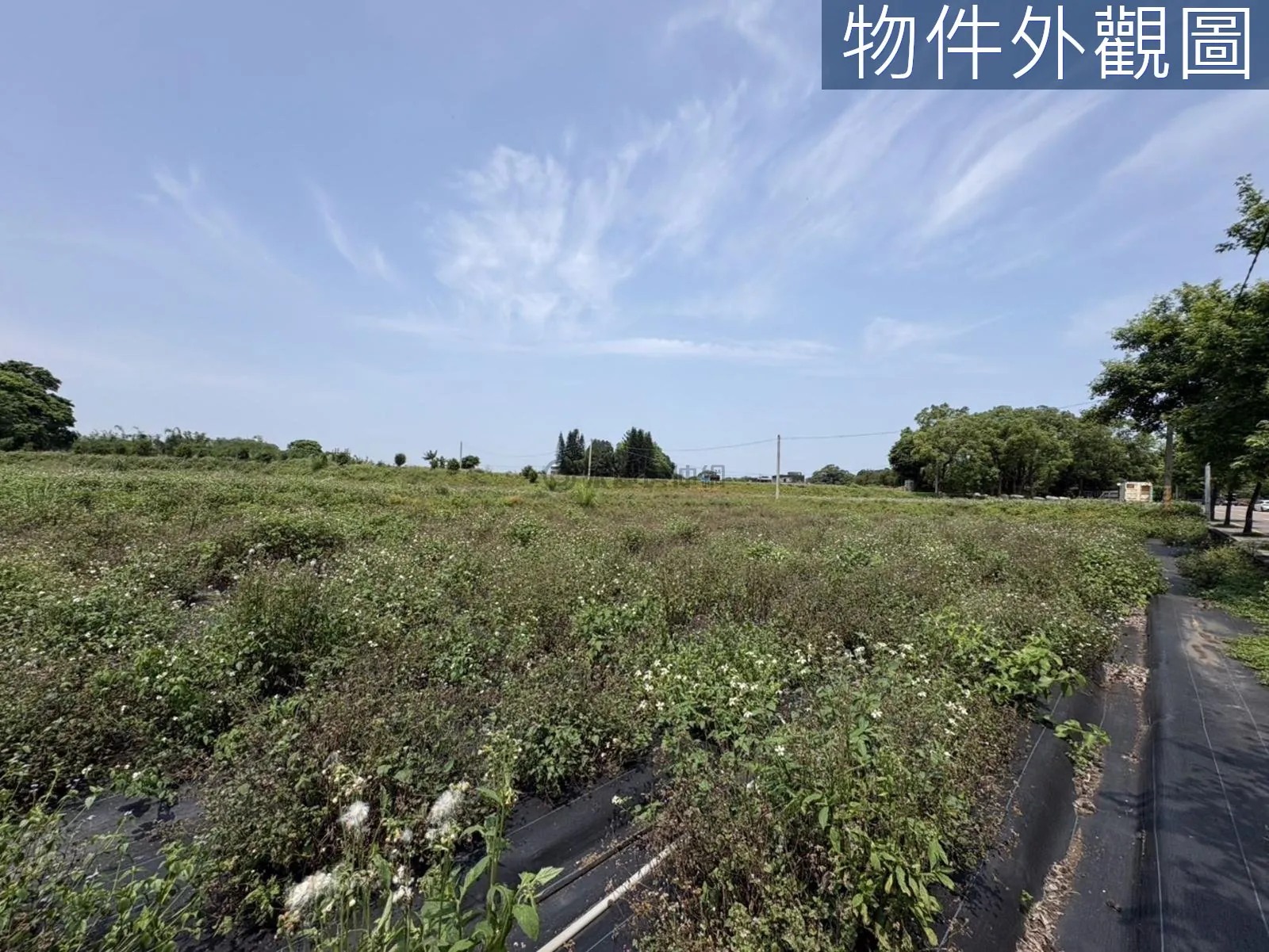 桃園大溪區慈湖丙建636坪加農地6852坪 第 7 張