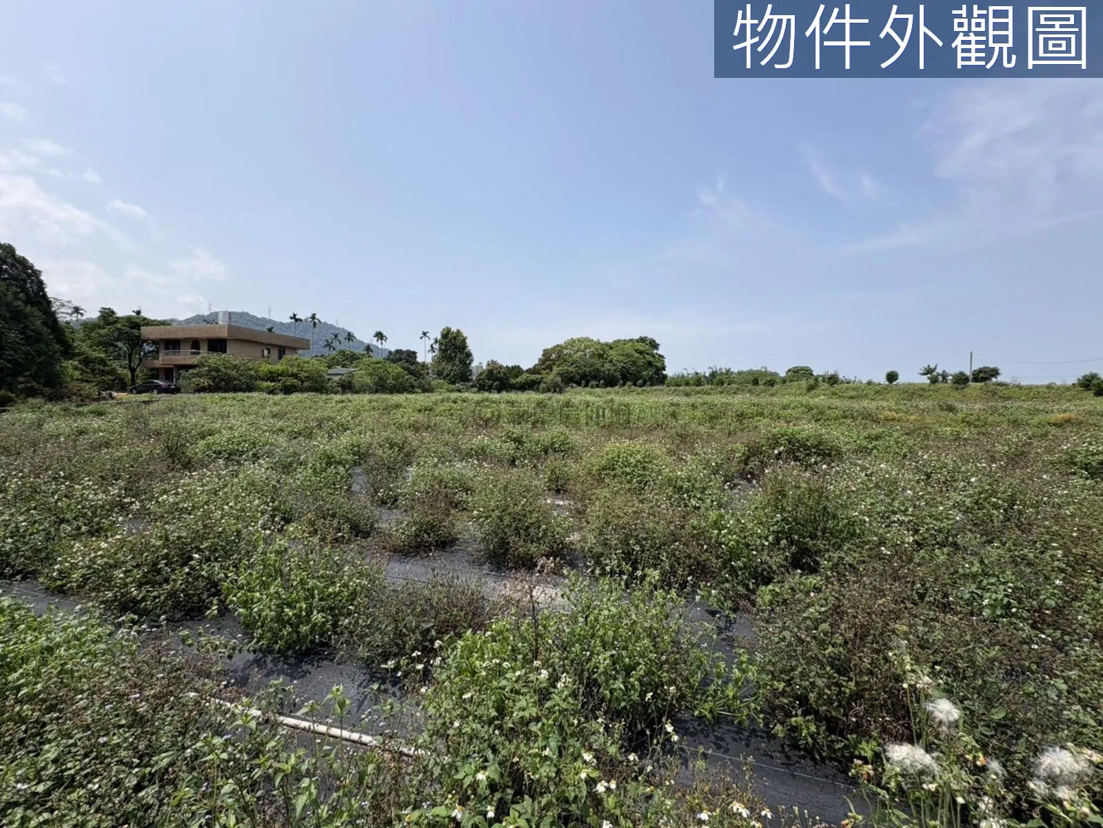 桃園大溪區慈湖丙建636坪加農地6852坪 第 8 張