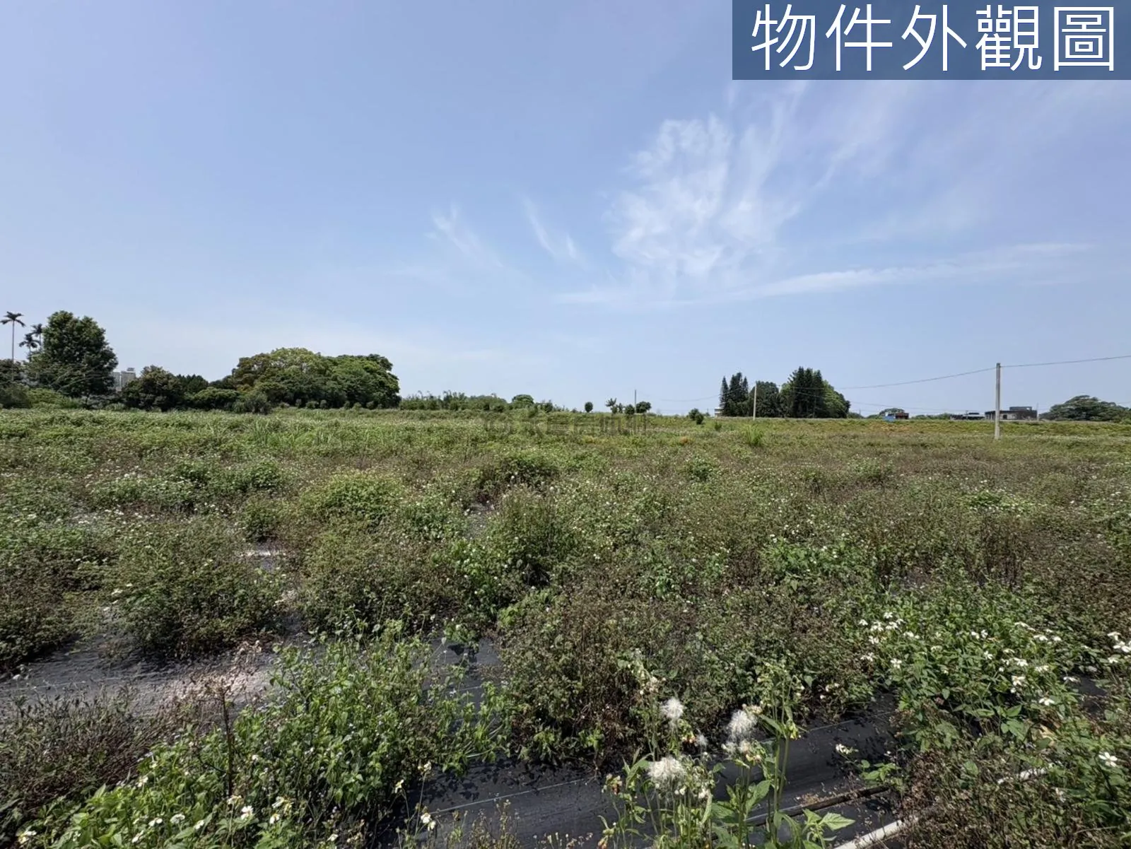 桃園大溪區慈湖丙建636坪加農地6852坪 第 9 張