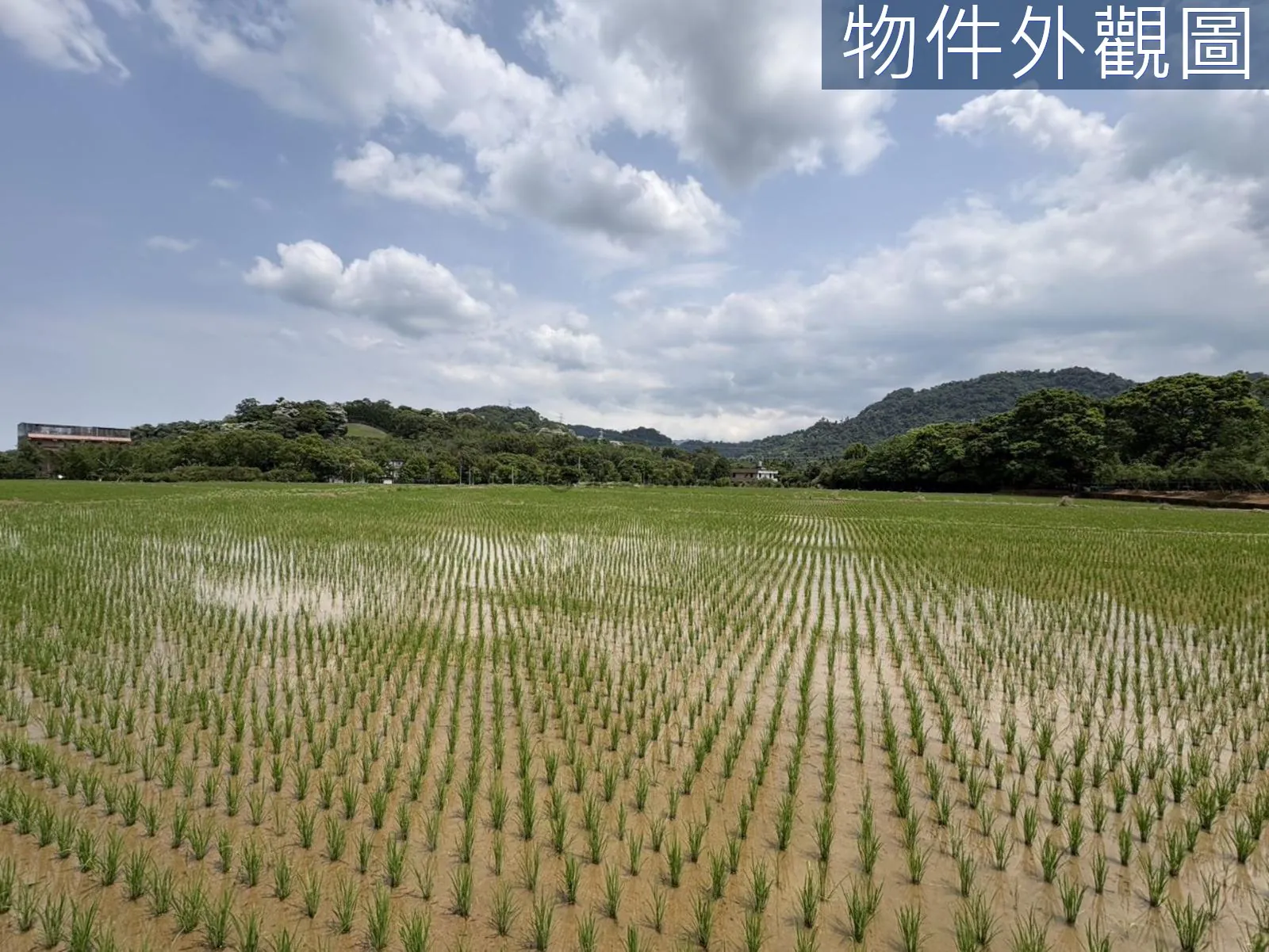 桃園大溪區慈湖丙建636坪加農地6852坪 第 10 張