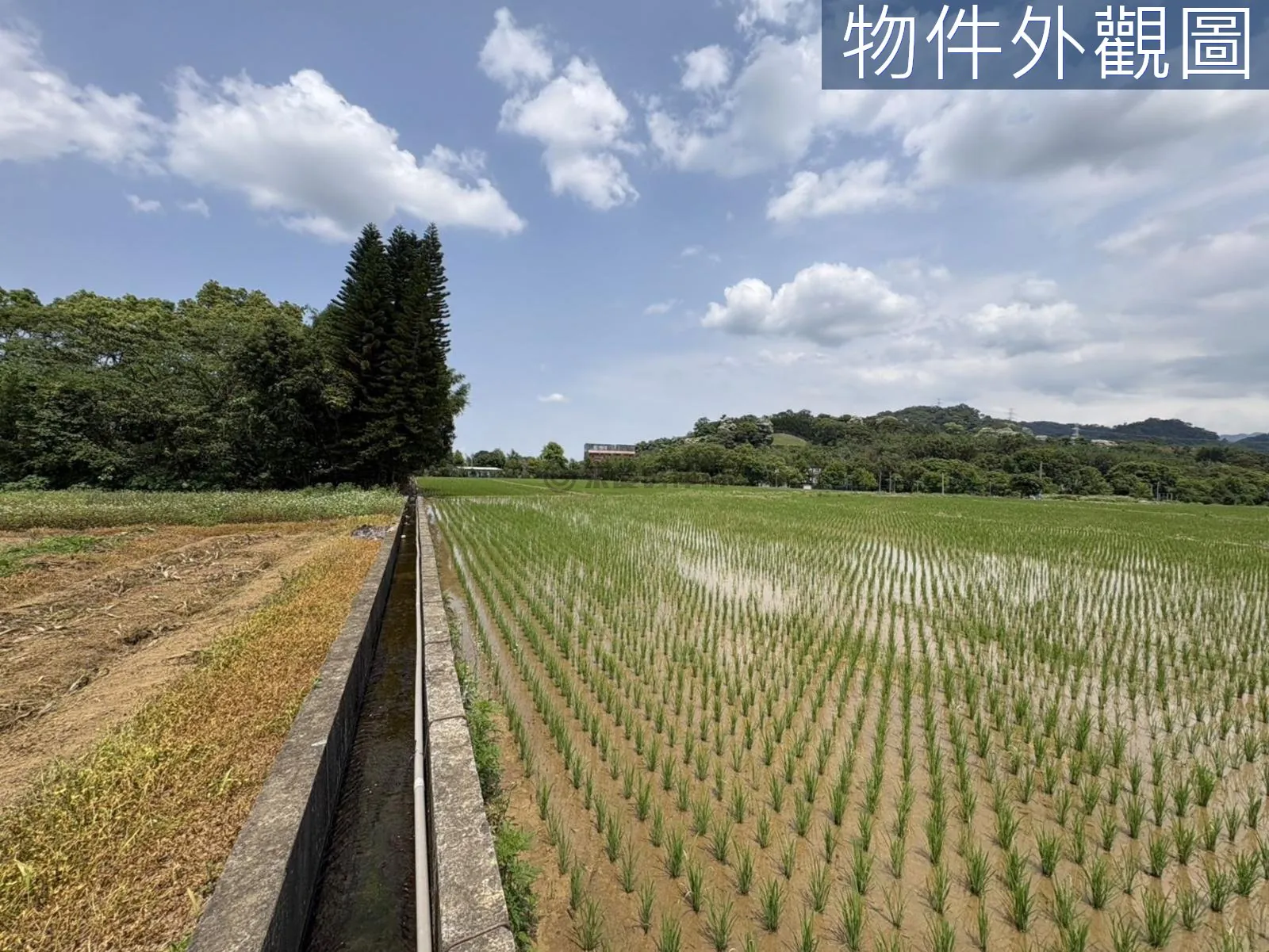 桃園大溪區慈湖丙建636坪加農地6852坪 第 11 張