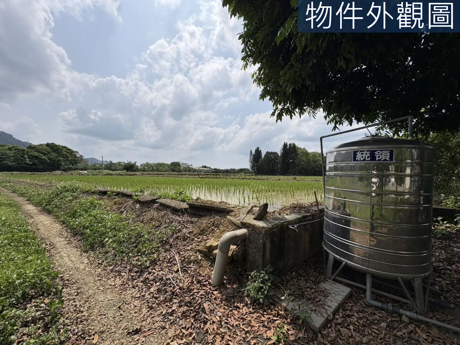 桃園大溪區慈湖丙建636坪加農地6852坪 第 12 張