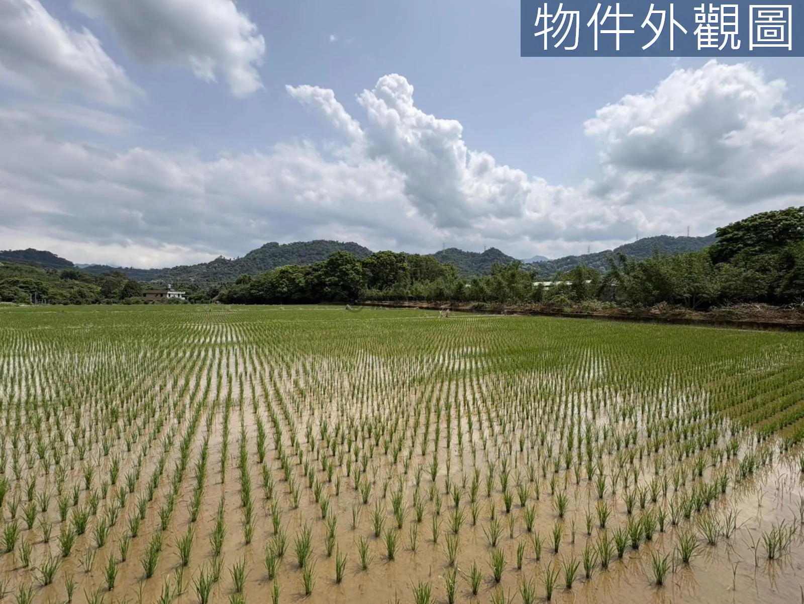 桃園大溪區慈湖丙建636坪加農地6852坪 第 15 張