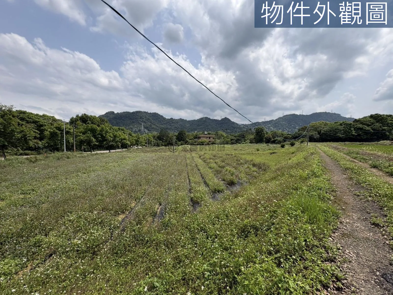 桃園大溪區慈湖丙建636坪加農地6852坪 第 19 張