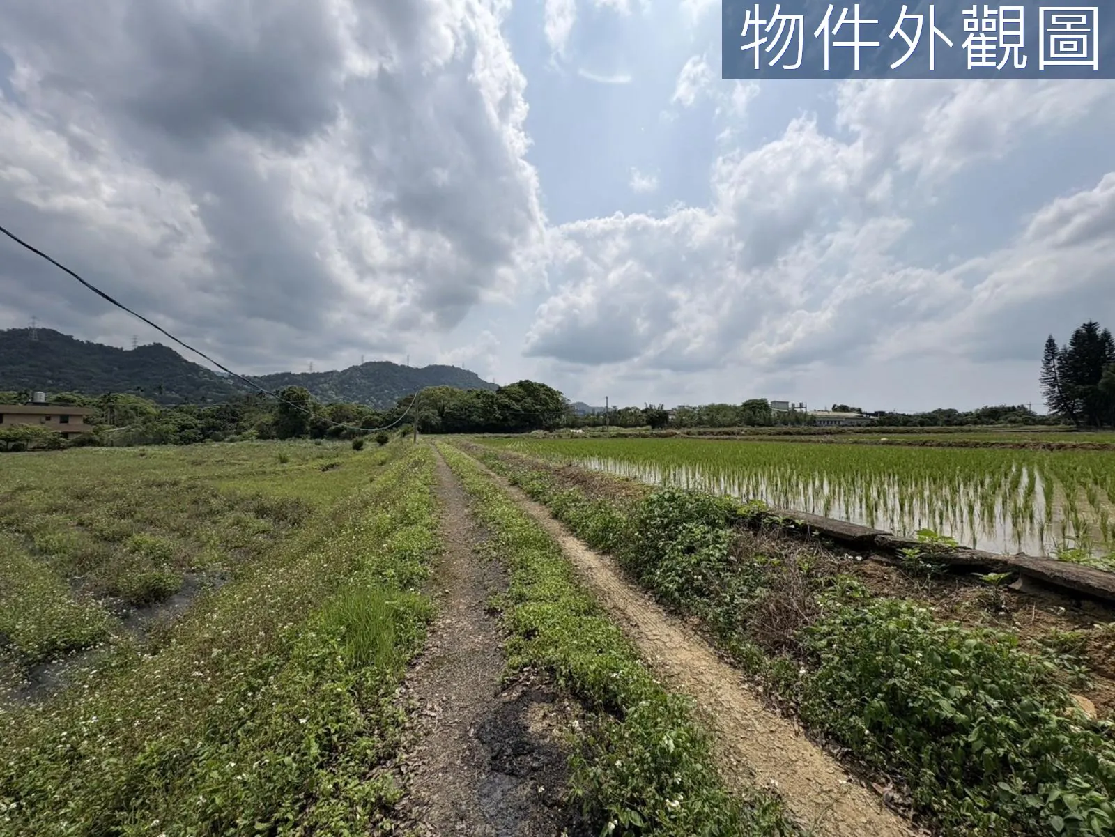 桃園大溪區慈湖丙建636坪加農地6852坪 第 20 張