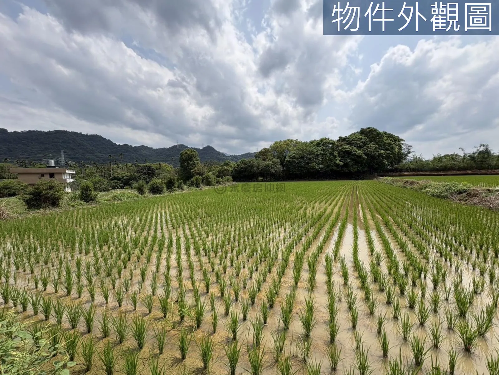 桃園大溪區慈湖丙建636坪加農地6852坪 第 21 張