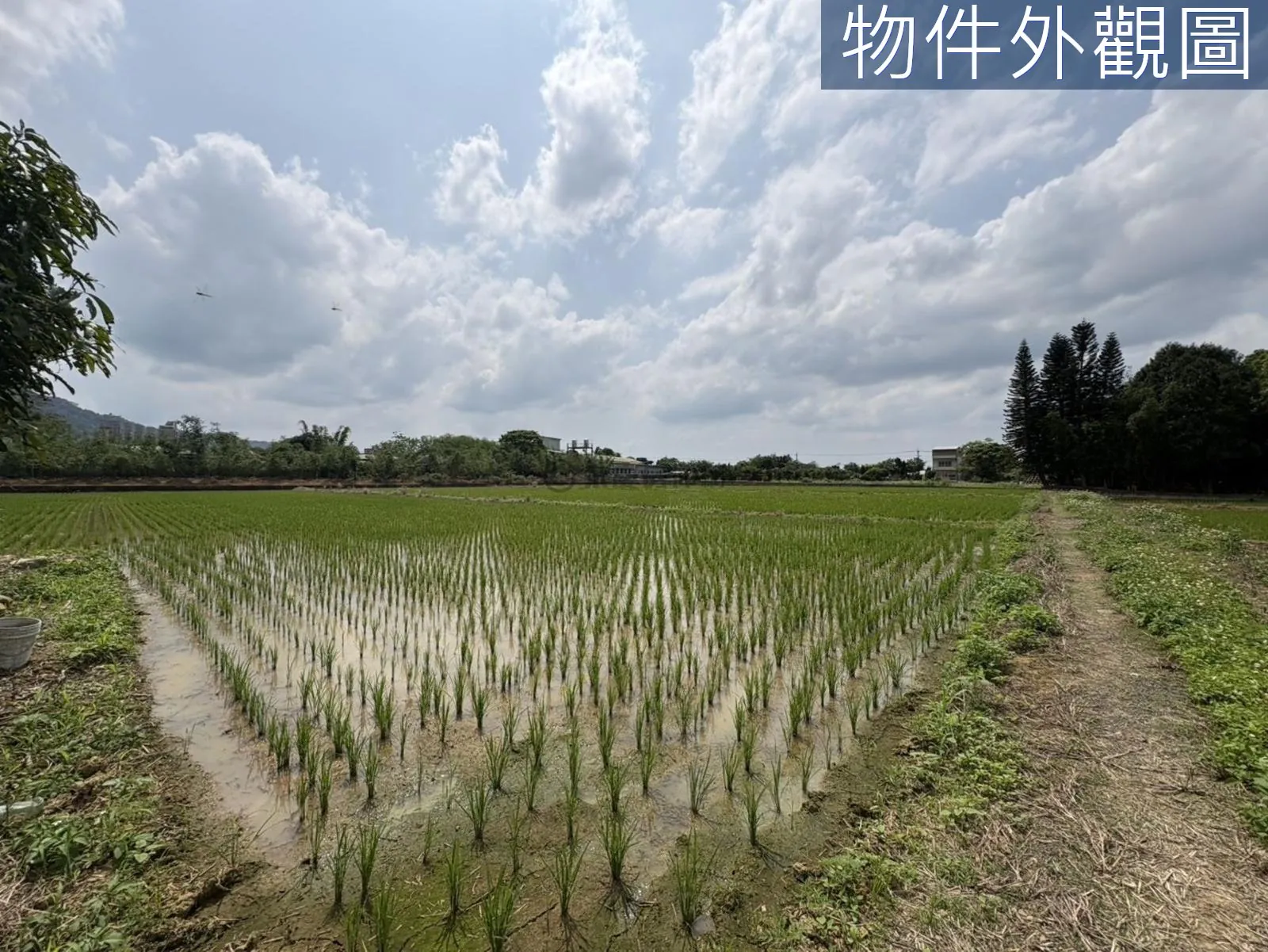 桃園大溪區慈湖丙建636坪加農地6852坪 第 22 張