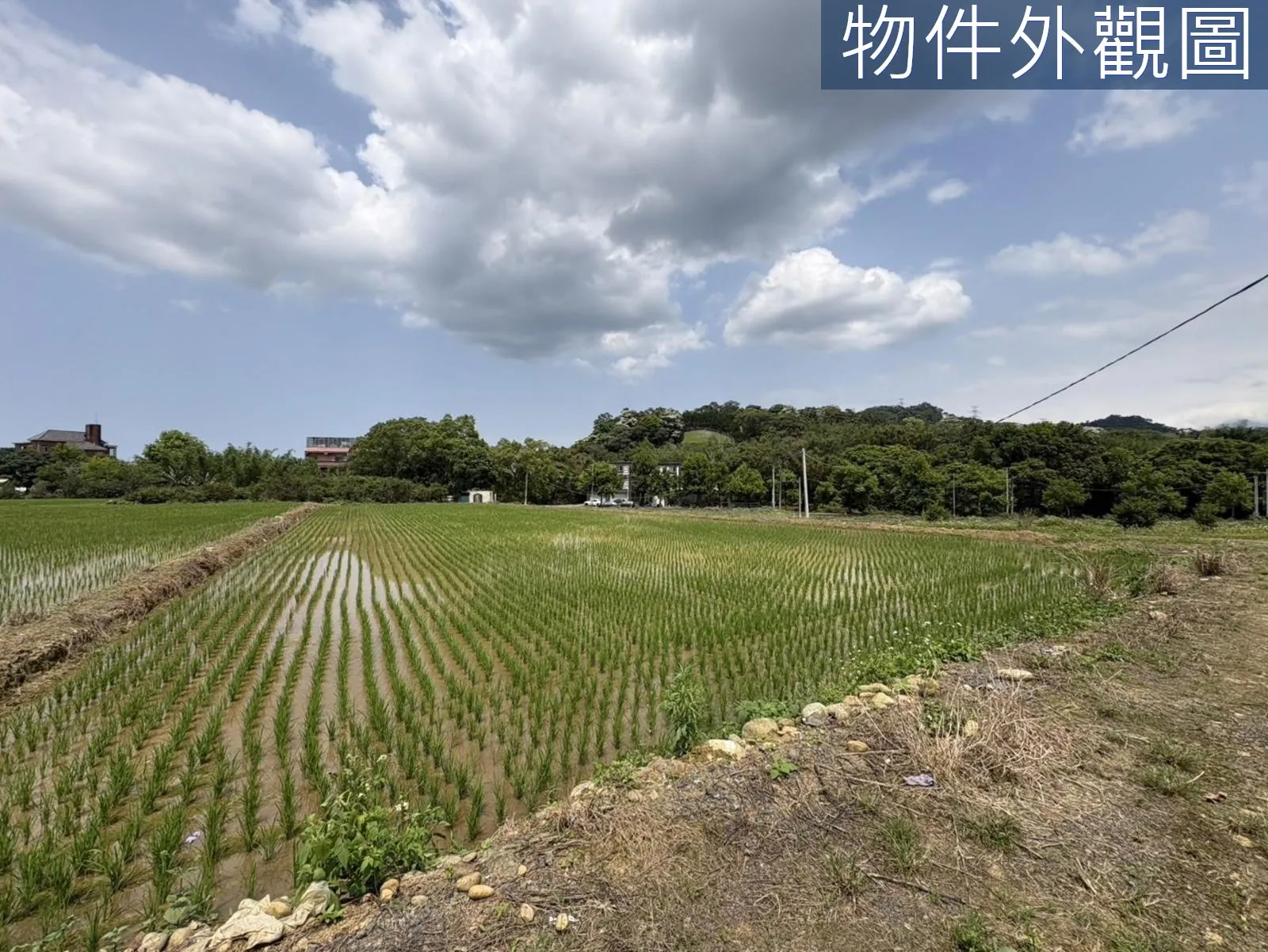桃園大溪區慈湖丙建636坪加農地6852坪 第 24 張