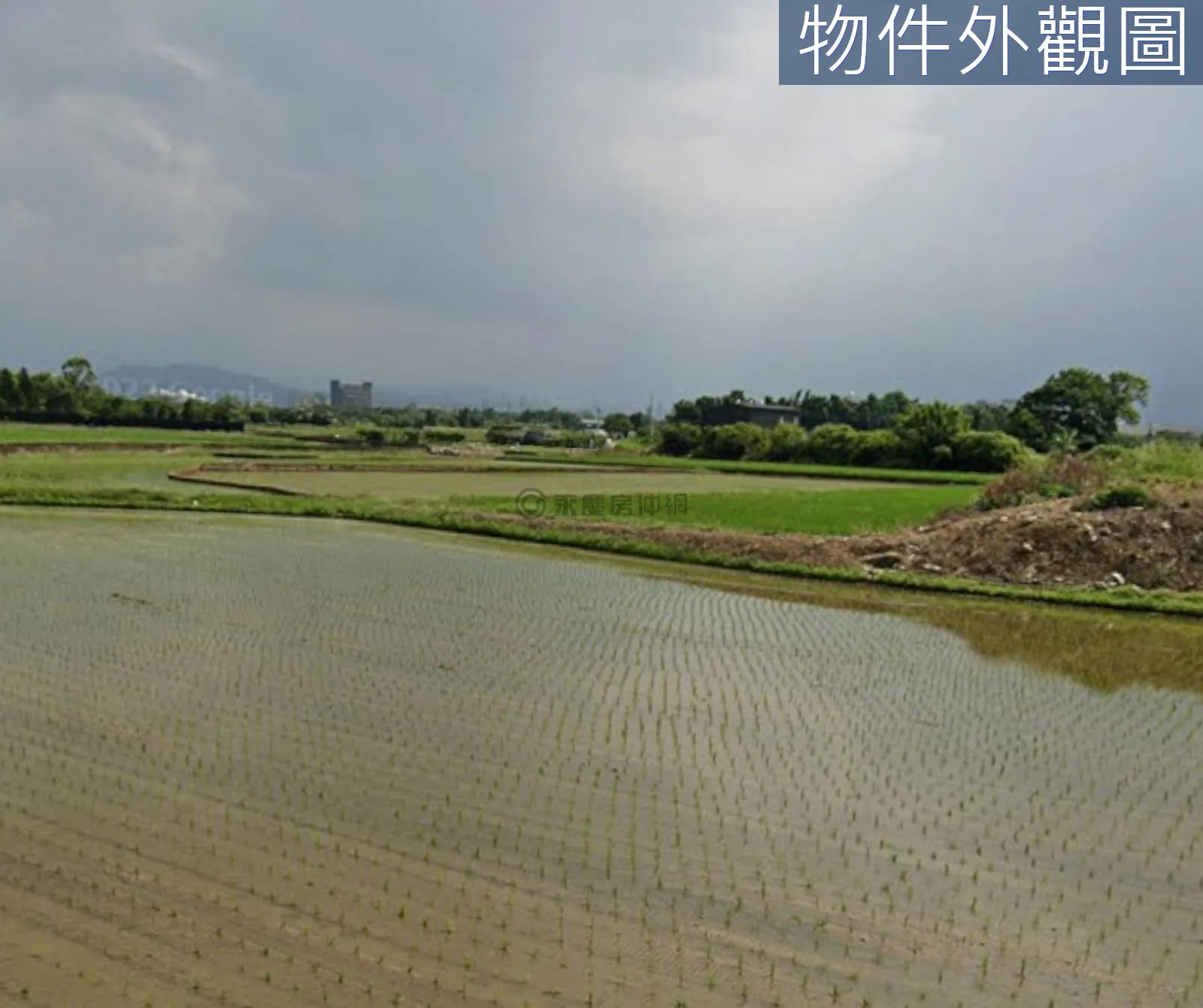 近八德重劃區大溪區社角漂亮臨路美農地