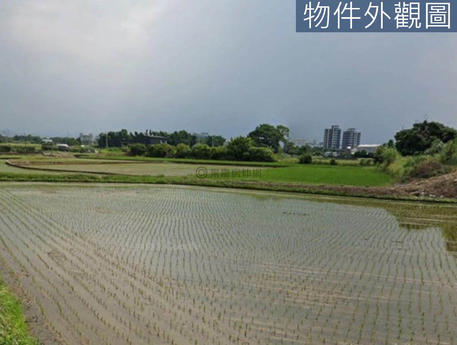 近八德重劃區大溪區社角漂亮臨路美農地 第 2 張