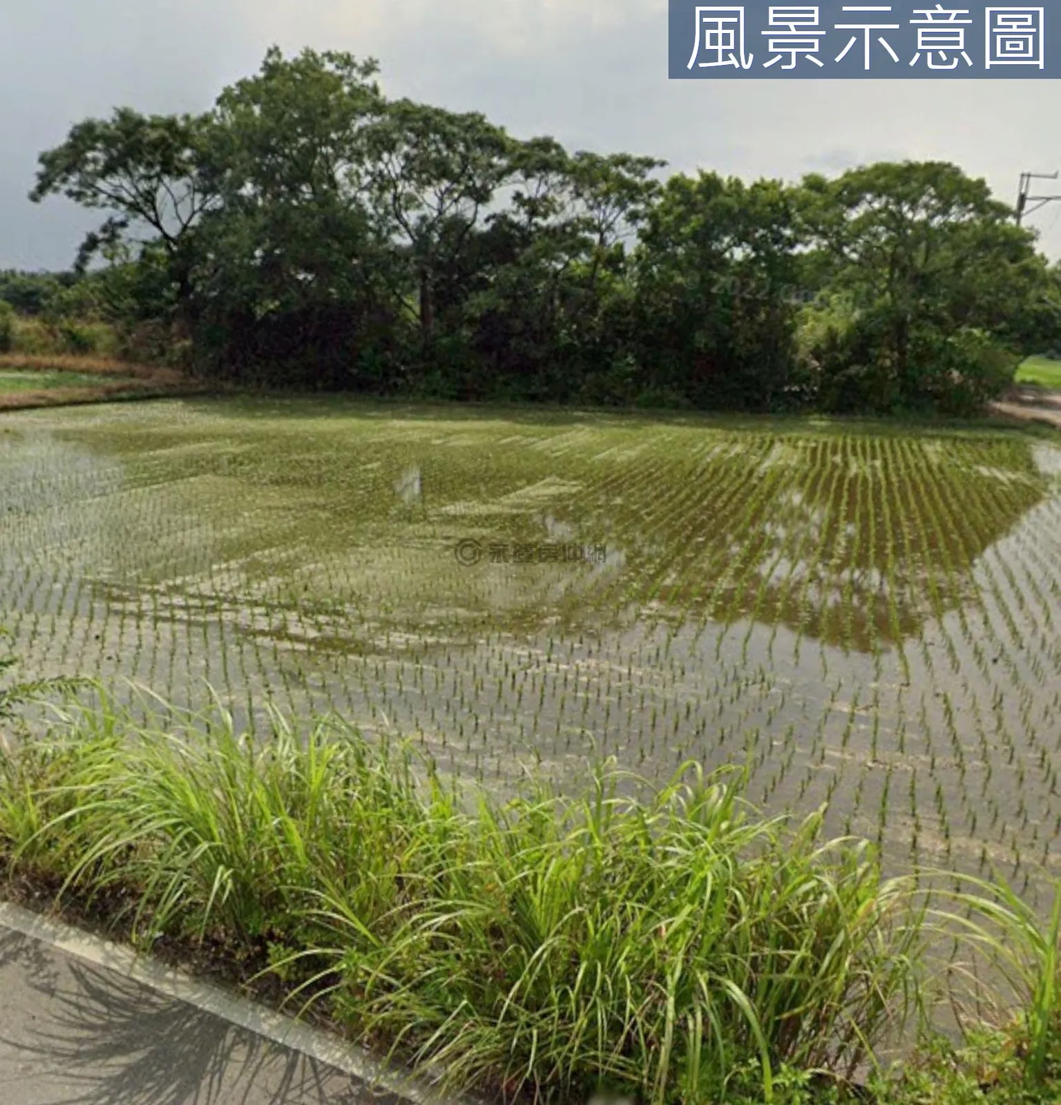 近八德重劃區大溪區社角漂亮臨路美農地 第 6 張