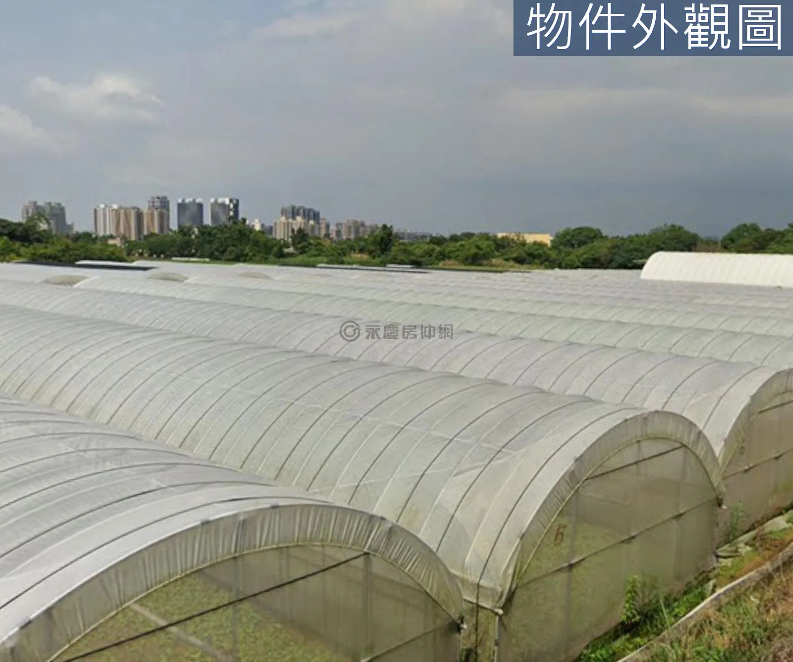 近八德重劃區大溪區社角漂亮臨路美農地 第 7 張