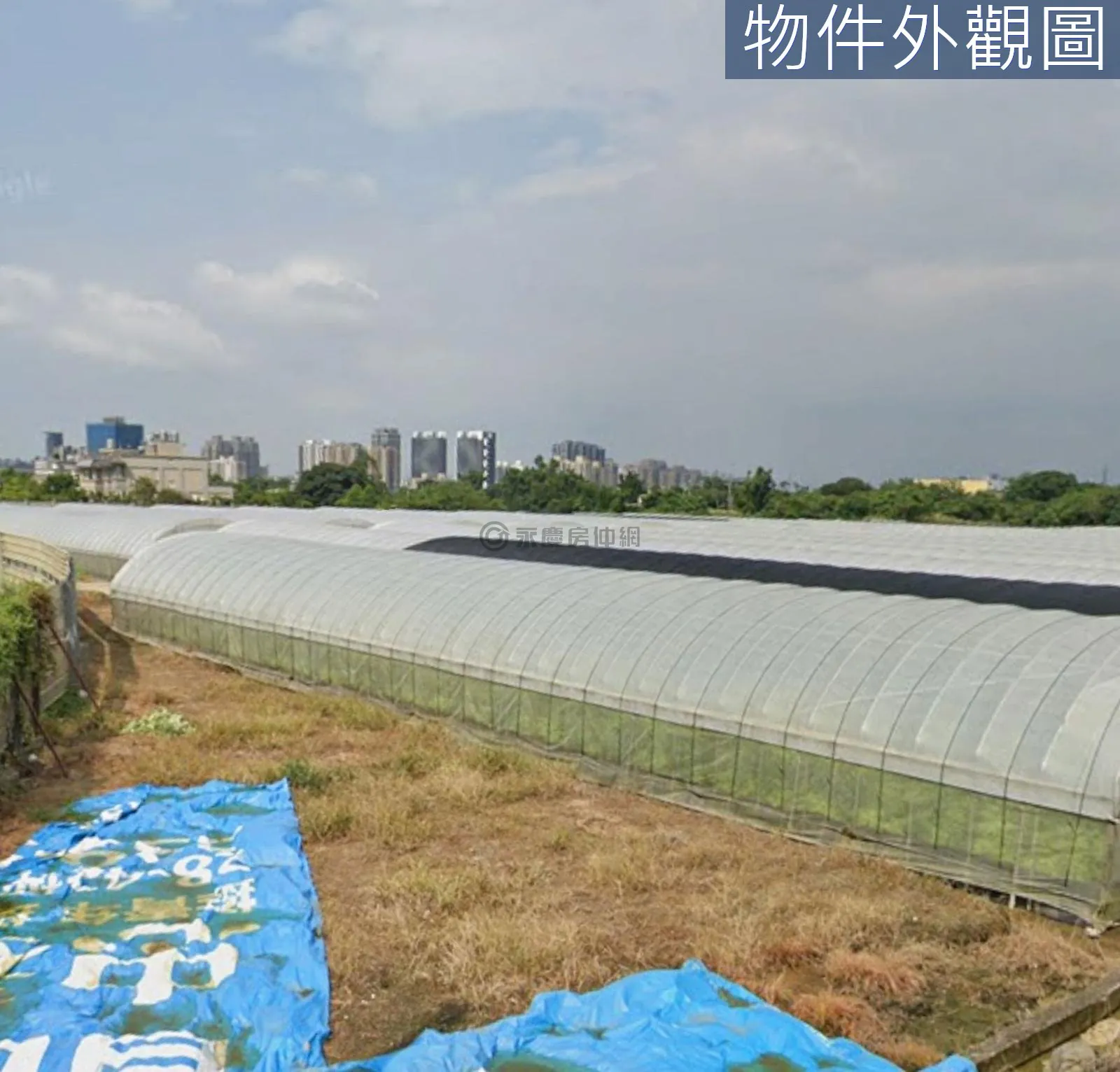 近八德重劃區大溪區社角漂亮臨路美農地 第 8 張